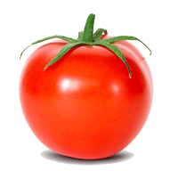 ٹماٹر