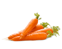 گاجر چائینہ